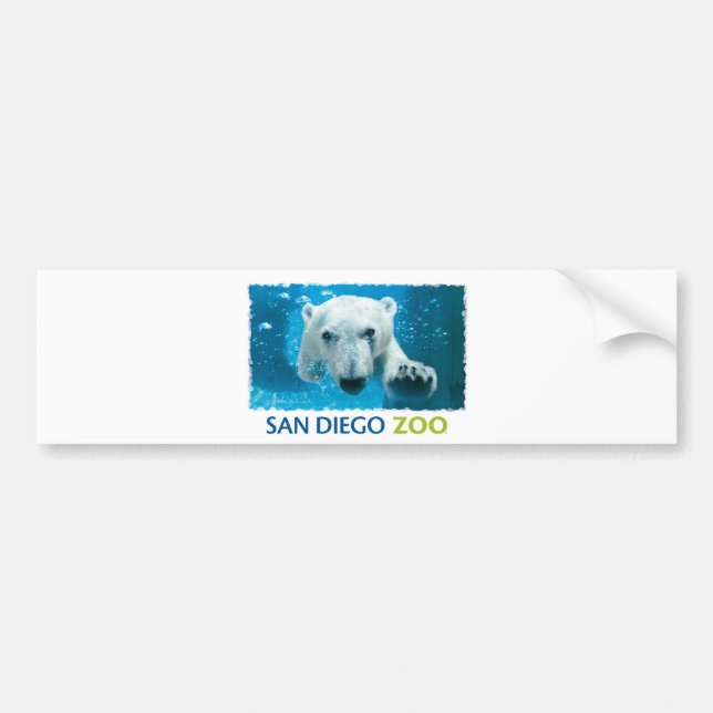San Diego Zoo Polar Bear Bumper Sticker (Front)