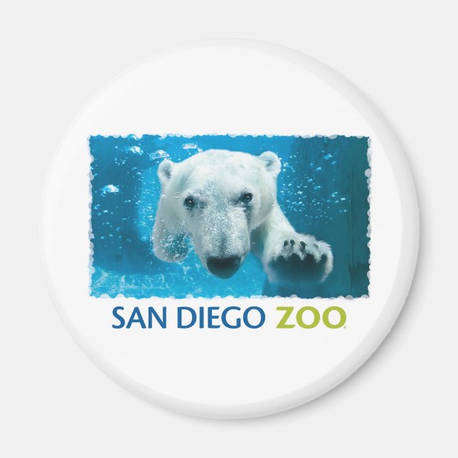 San Diego Zoo Polar Bear Magnet (Front)