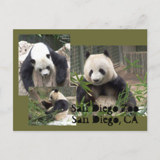 San Diego Zoo Postcard