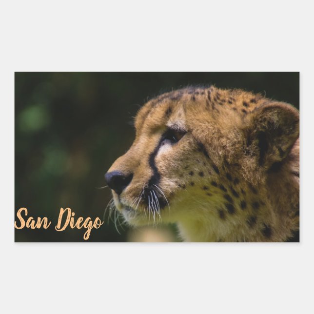 San Diego zoo Rectangular Sticker (Front)