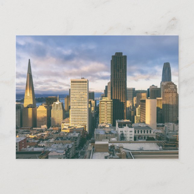 San Francisco Aerial View Postcard (Front)