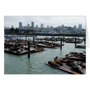 San Francisco and Pier 39 Sea Lions City Skyline