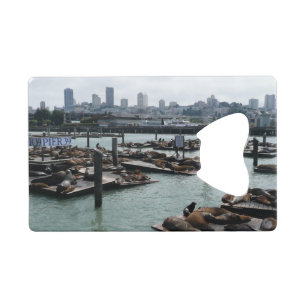San Francisco and Pier 39 Sea Lions City Skyline