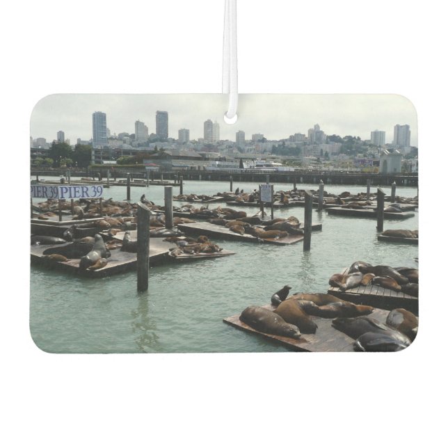 San Francisco and Pier 39 Sea Lions City Skyline Car Air Freshener (Front)