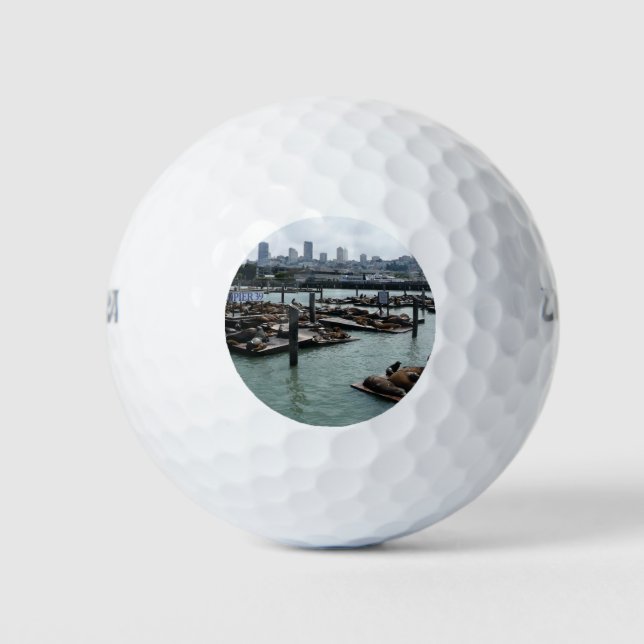 San Francisco and Pier 39 Sea Lions City Skyline Golf Balls (Front)