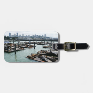 San Francisco and Pier 39 Sea Lions City Skyline Luggage Tag