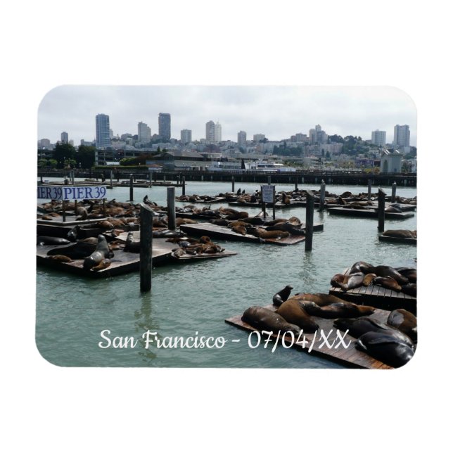 San Francisco and Pier 39 Sea Lions City Skyline Magnet (Horizontal)