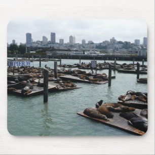 San Francisco and Pier 39 Sea Lions City Skyline Mouse Pad
