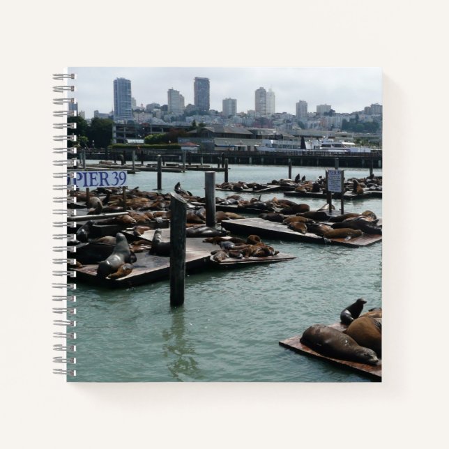 San Francisco and Pier 39 Sea Lions City Skyline Notebook (Front)