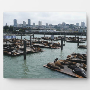 San Francisco and Pier 39 Sea Lions City Skyline Plaque