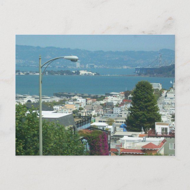 SAN FRANCISCO BAY POSTCARD (Front)
