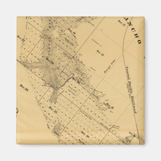 San Francisco Bay Salt Marsh Magnet (Front)