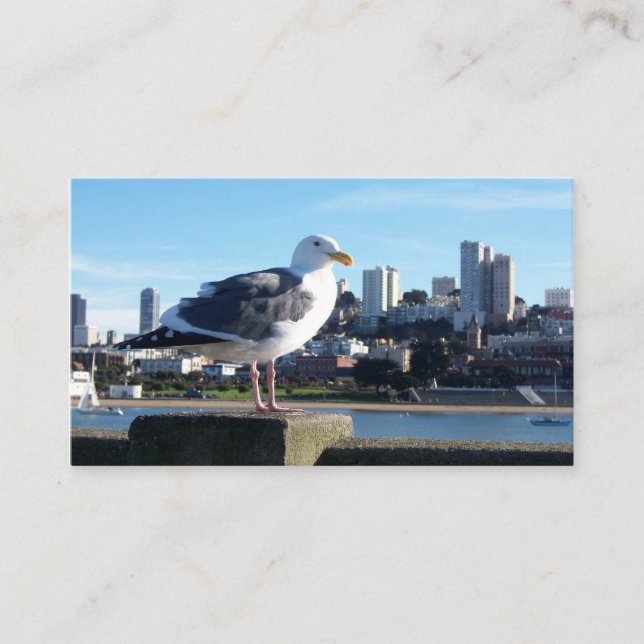 san francisco birds view business card (Front)