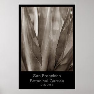 San Francisco Botanical Garden #1 Poster