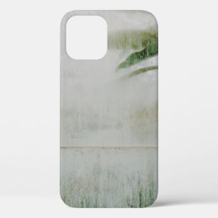 San francisco botanical garden iPhone 12 case
