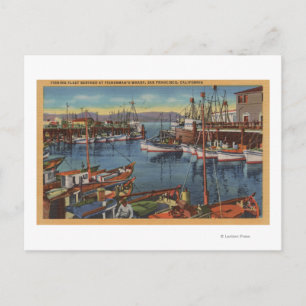 San Francisco, CA Fishing Fleet at Fisherman's Postcard