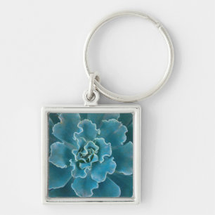 San Francisco Californias Golden Gate Park and Key Ring