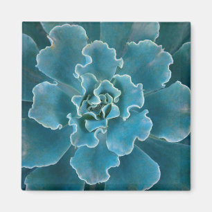 San Francisco Californias Golden Gate Park and Magnet