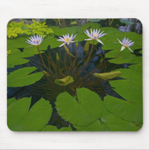 San Francisco Californias Golden Gate Park and Mouse Pad