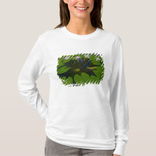 San Francisco Californias Golden Gate Park and T-Shirt