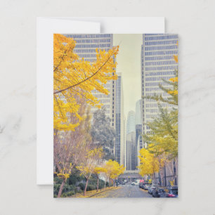 San Francisco Cityscape Autumn Street  Postcard