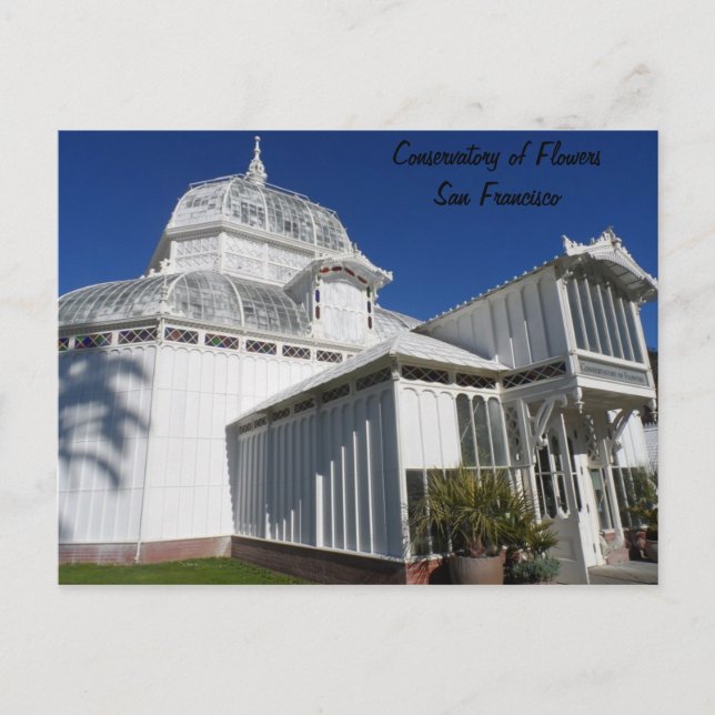 San Francisco Conservatory of Flowers Postcard (Front)