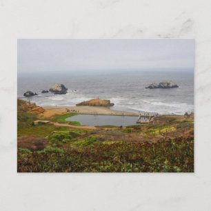 San Francisco Lands End #3-1 Postcard