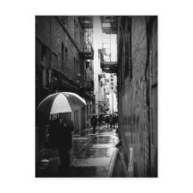 San Francisco Noir Postcard