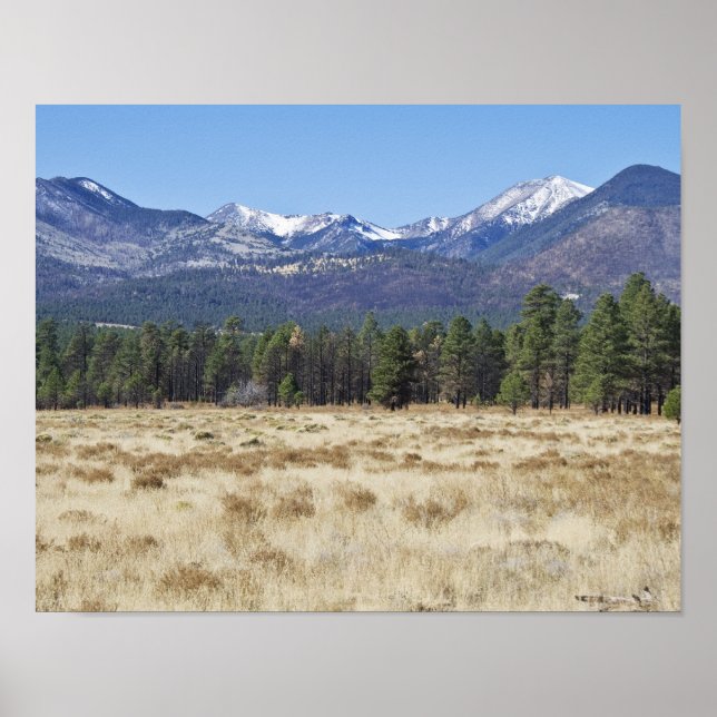 San Francisco Peaks - Flagstaff, Arizona poster (Front)