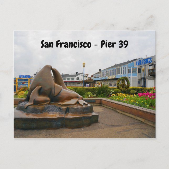 San Francisco Pier 39 #13 Postcard (Front)