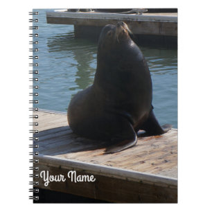 San Francisco Pier 39 Sea Lion #3-2 Notebook