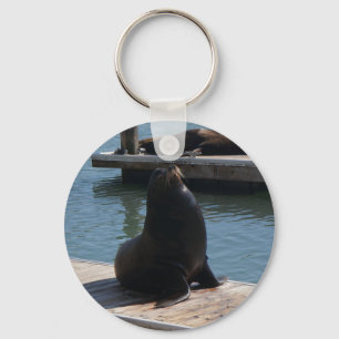 San Francisco Pier 39 Sea Lions #3-2 Keychain
