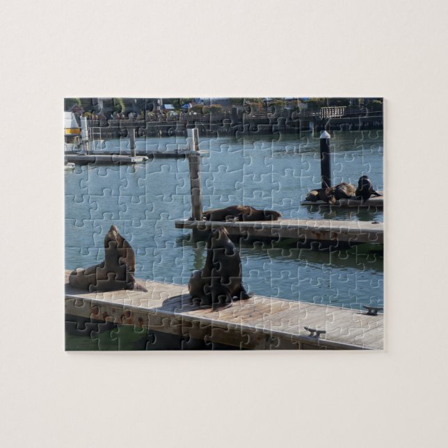 San Francisco Pier 39 Sea Lions #3 Jigsaw Puzzle (Horizontal)