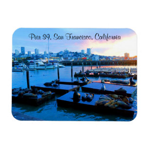 San Francisco Pier 39 Sea Lions #5-2 Magnet