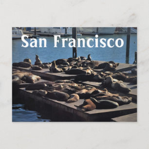 San Francisco Postcard