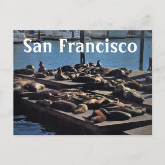 San Francisco Postcard