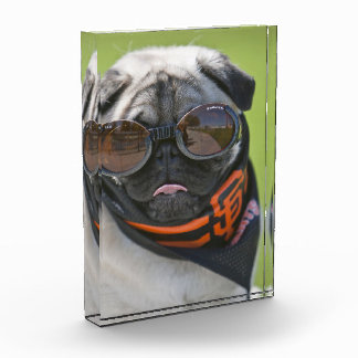 San Francisco Pug Photo Block