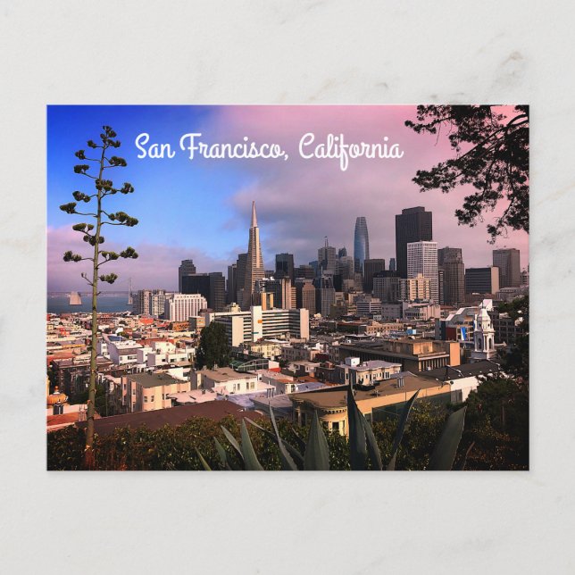 San Francisco Skyline #12 Postcard (Front)