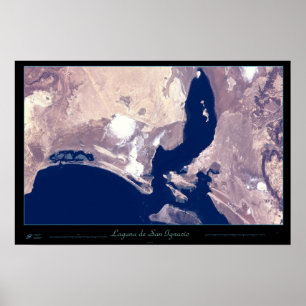 San Ignacio Lagoon, Baja CA Sur, Mexico poster