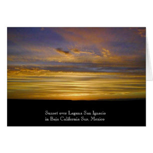 San Ignacio Lagoon Sunset