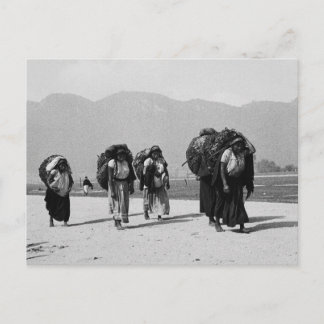 San Juan Chamula, Chiapas, Mexico Postcard