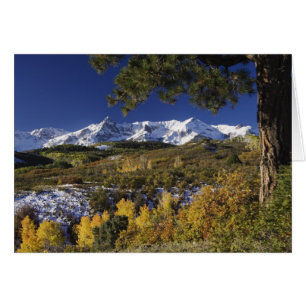 San Juan Mountains and Aspen trees in fallcolor