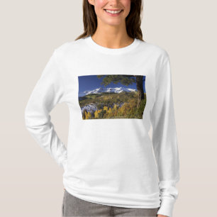 San Juan Mountains and Aspen trees in fallcolor T-Shirt