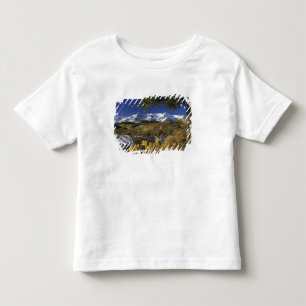 San Juan Mountains and Aspen trees in fallcolor Toddler T-Shirt