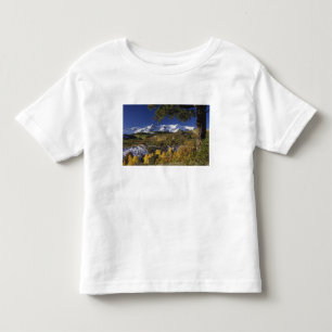 San Juan Mountains and Aspen trees in fallcolor Toddler T-Shirt
