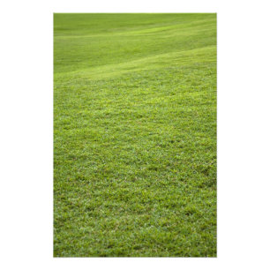 San Juan, Puerto Rico - Green grass is Photo Print