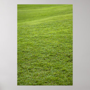 San Juan, Puerto Rico - Green grass is Poster