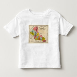 San Luis Potosi, Mexico Toddler T-Shirt