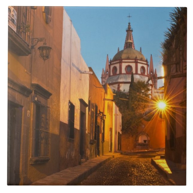 San Miguel de Allende, Mexico. Credit as: Nancy Tile (Front)