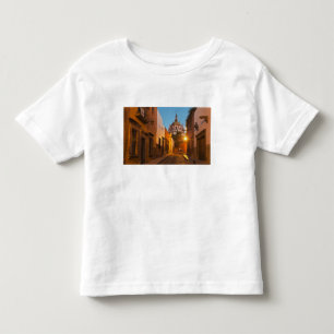 San Miguel de Allende, Mexico. Credit as: Nancy Toddler T-Shirt